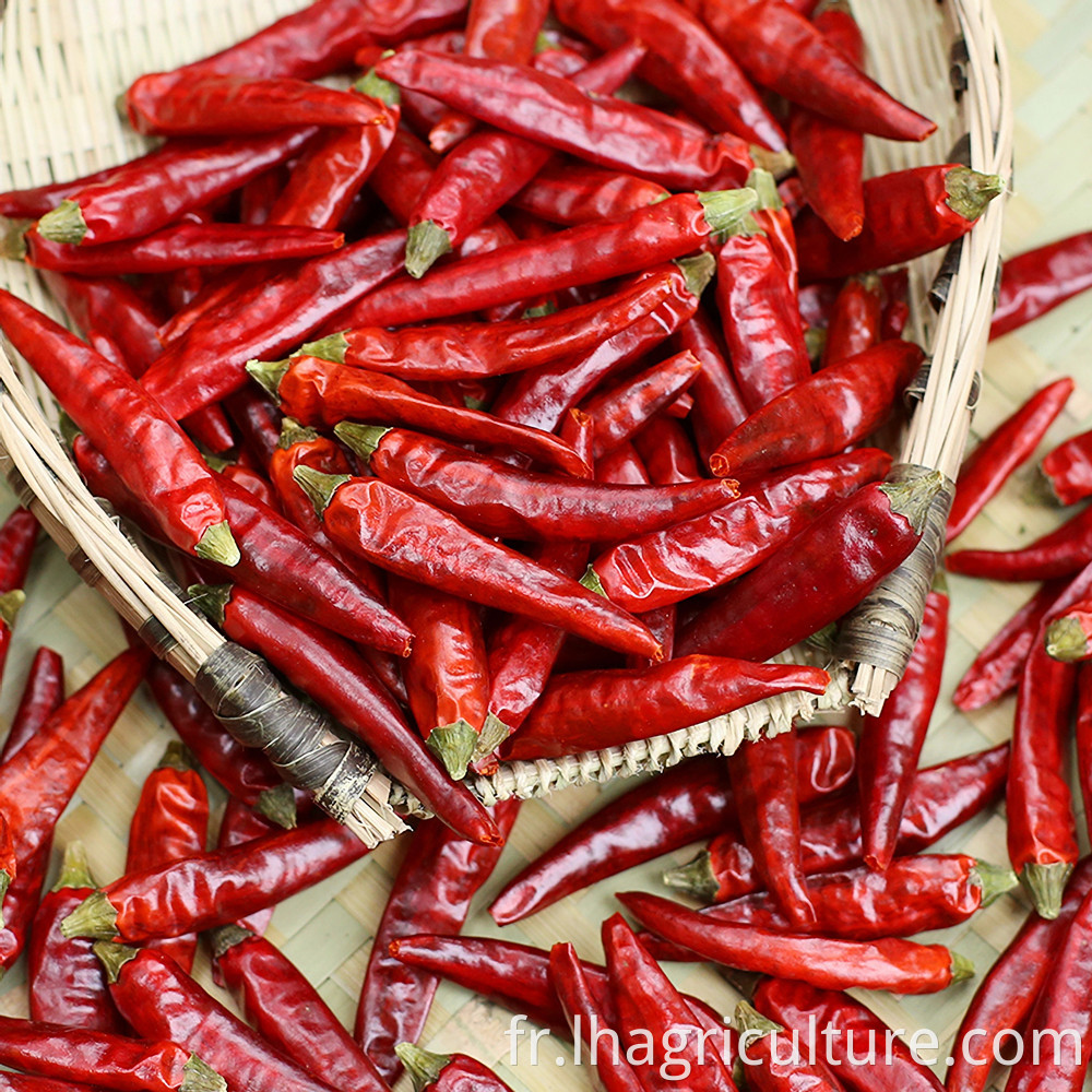 Sichuan Millet Pepper Price